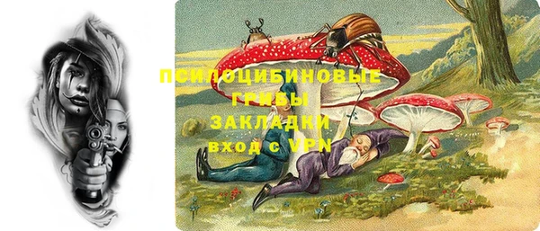 метадон Зеленодольск