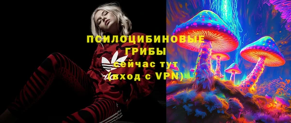 спиды Зеленокумск